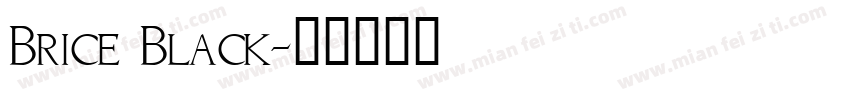 Brice Black字体转换